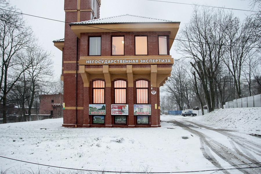 В Калининграде упавшее во время урагана дерево заблокировало движение по ул. Невского (фото)  