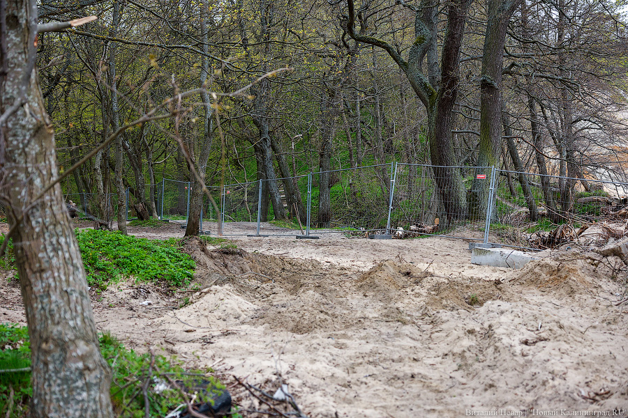 Пляж огородили: что происходит в Филинской бухте после начала стройки (фото) (исправлено)