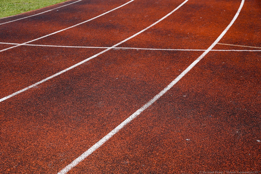 Фото — Виталий Невар, «Новый Калининград.Ru»