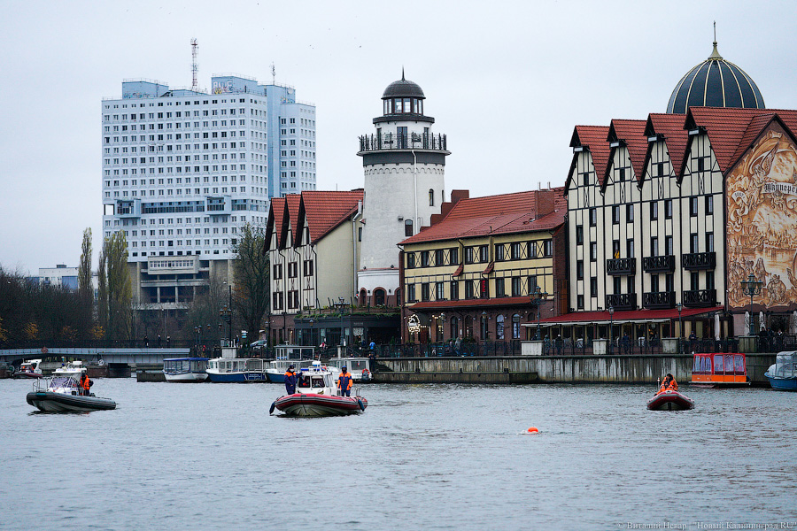 День моржа: как пловцы пытались защитить экосистему Преголи (фото)