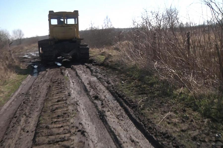 Калининградские полицейские начали закапывать нелегальные янтарные карьеры (фото)