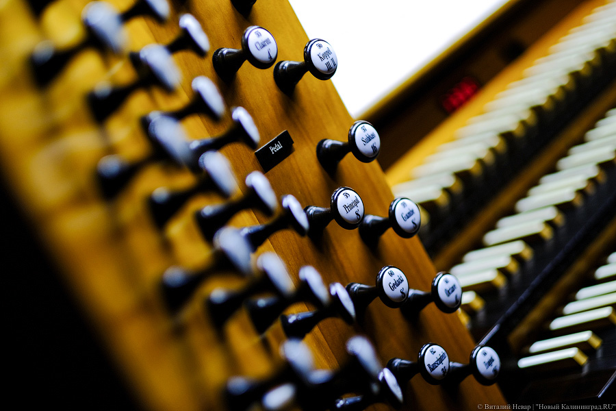 Виталий Невар / Новый Калининград