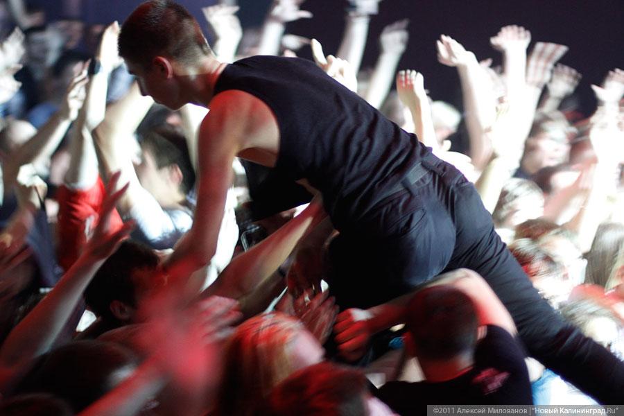 "Поэт и гражданин": фоторепортаж "Афиши Нового Калининграда.Ru"