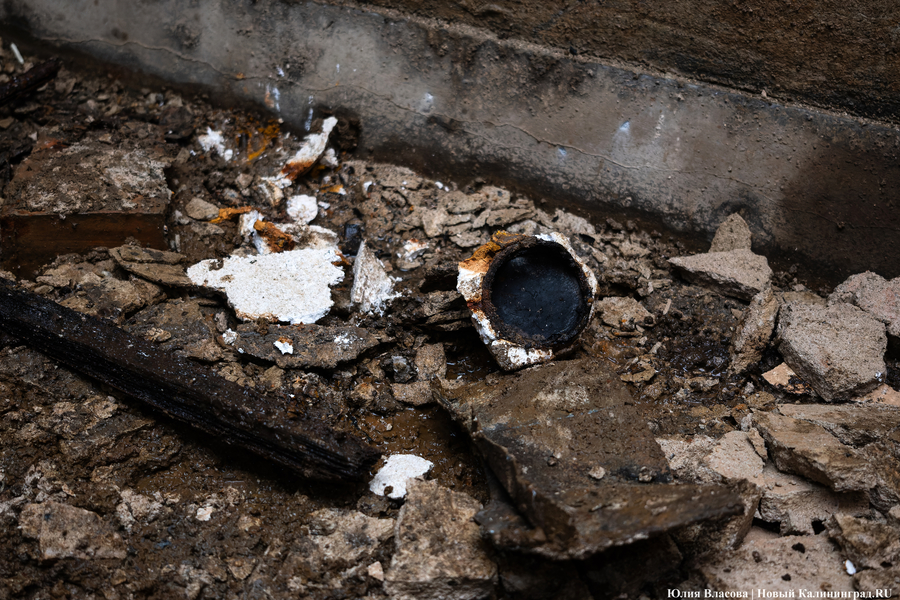 Настоящие подземелья Кёнигсберга: что находится в открывшемся провале на острове Канта (фото)