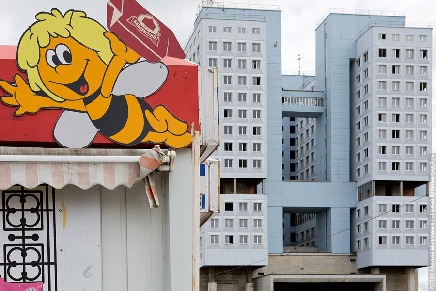 Зона отчуждения: во что превратилась «Старая башня» (фото)