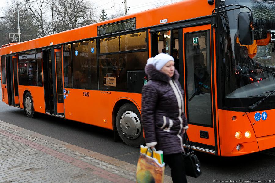 Жертвы транспортной войны: как калининградцы на работу добирались (фото)