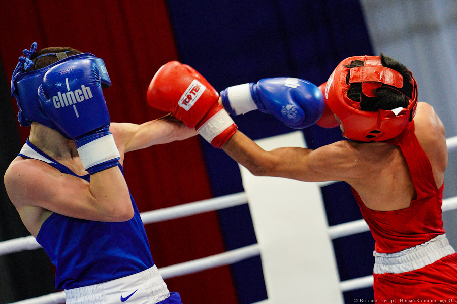 Российский боксер очередной победой защитил три своих титула чемпиона мира