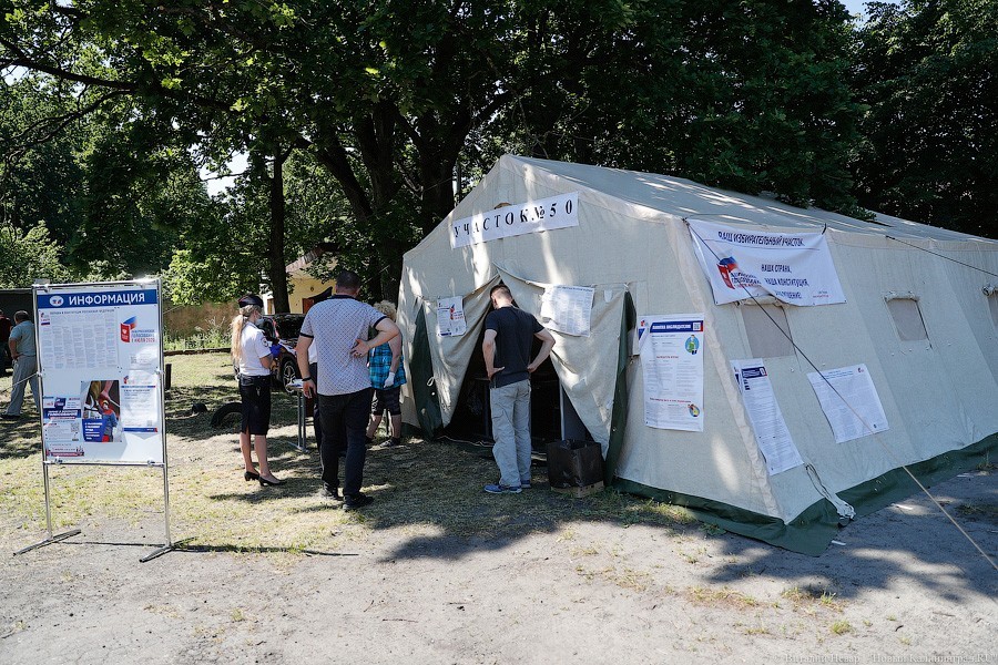 Поправки в палатках: как проходит голосование за изменение Конституции в Балтийске (фото)