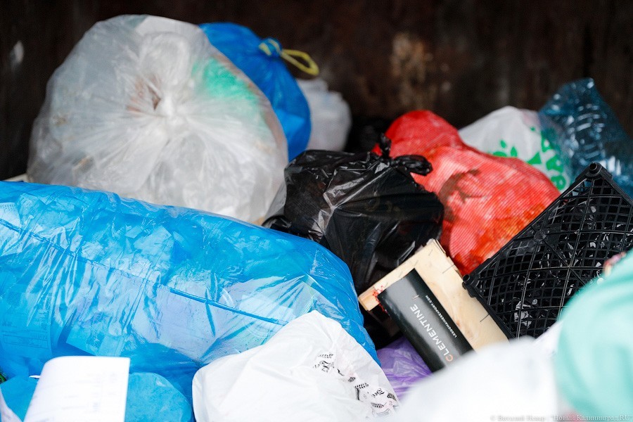 Власти Балтийска назвали причины проблем с вывозом мусора