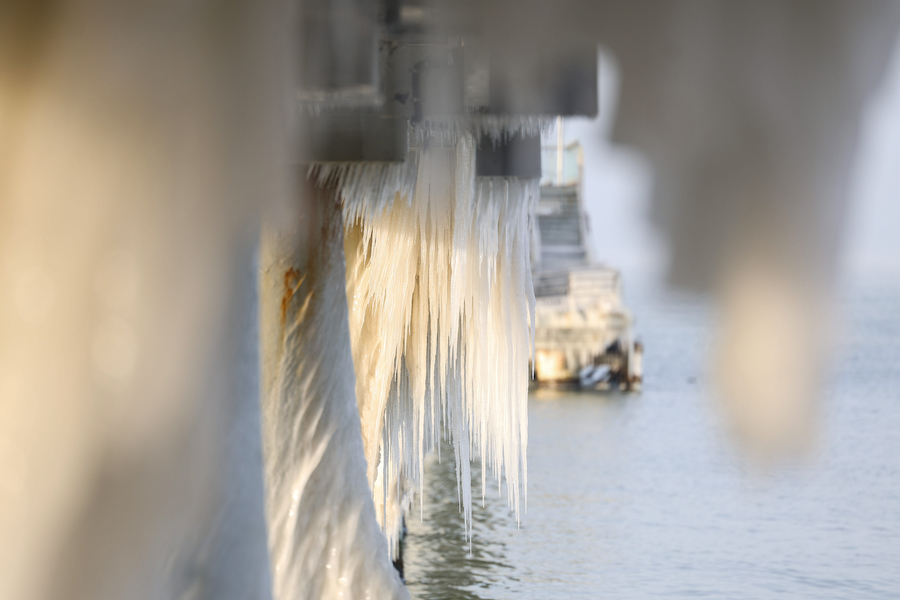 Мороз и море: как стихия украсила променад в Зеленоградске (фото)