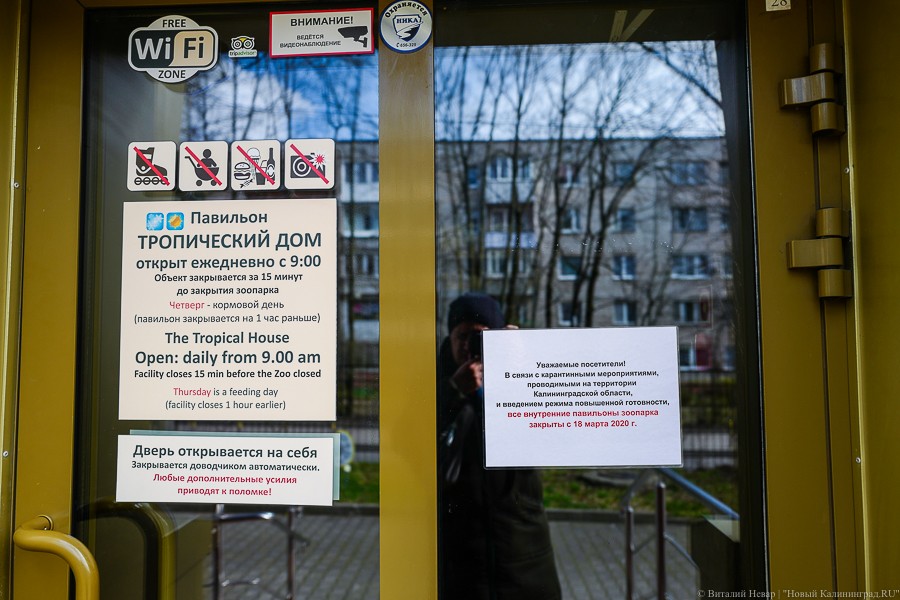 Власти Калининграда хотят обязать авторов объявлений и афиш использовать русский язык