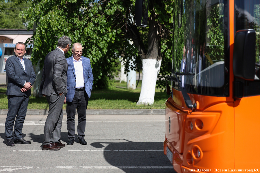 «Не надо искать особенностей»: в Калининграде на линию выпустили новые ЛиАЗы (фото)