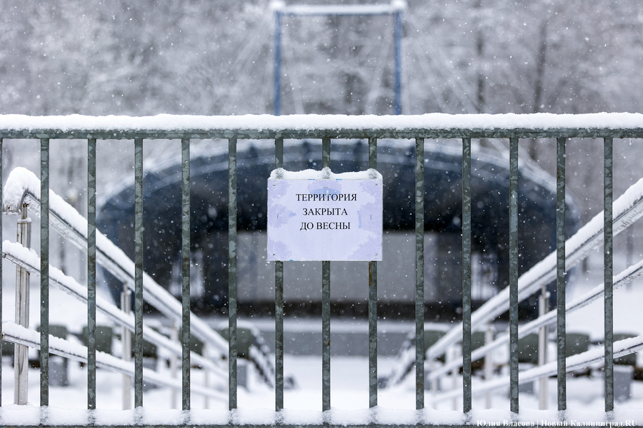 Пролетая на ватрушке: как в Центральном парке катаются с горки вопреки запретам (фото)
