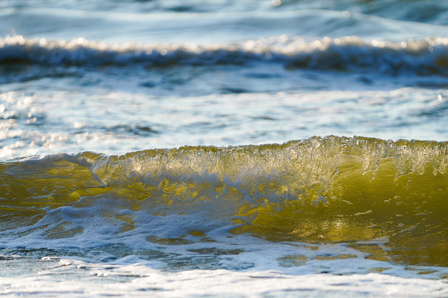 В Светлогорске в море выделили зону для не умеющих плавать людей