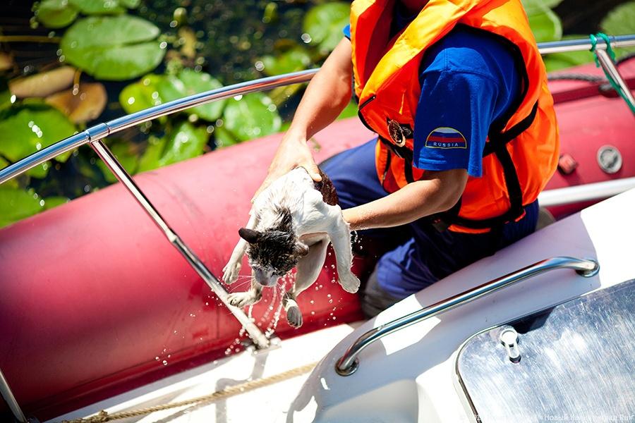 Сотрудники ГИМС спасли четвероногого утопающего