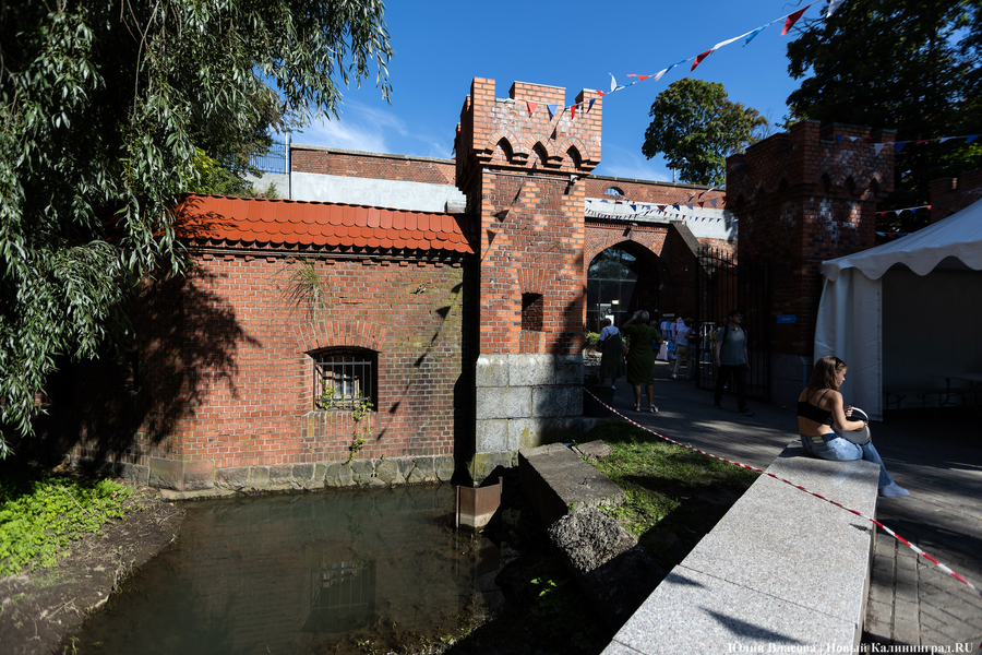 «Цветы против пивных бутылок»: как прошел фестиваль «Хранителей руин» (фото)