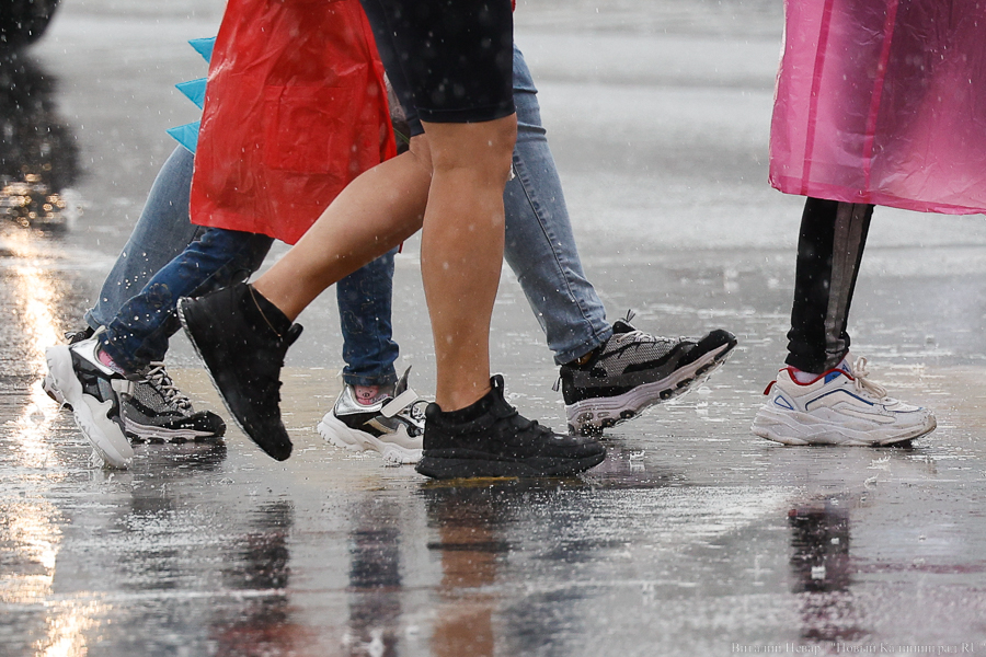 Погода в Калининградской области 30 августа