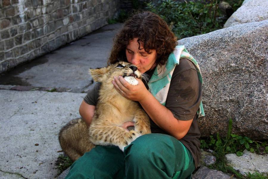 «Тяжело видеть, как они делают последний вздох»: Анжела Хантер — о 30-летней работе в зоопарке