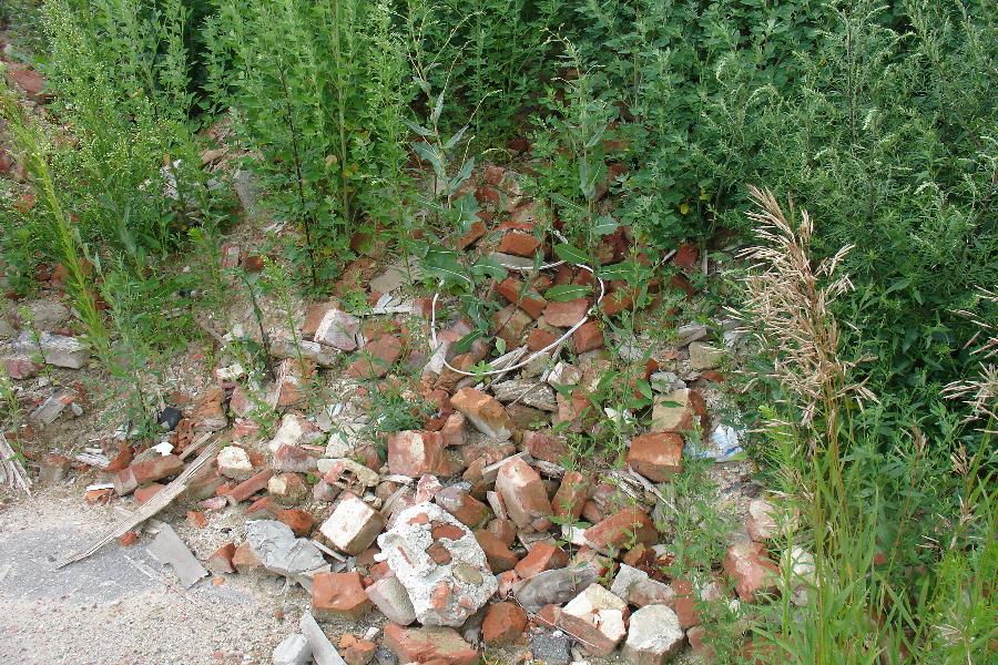 Слом истории: еще одна немецкая усадьба погибла, не дождавшись инвестора