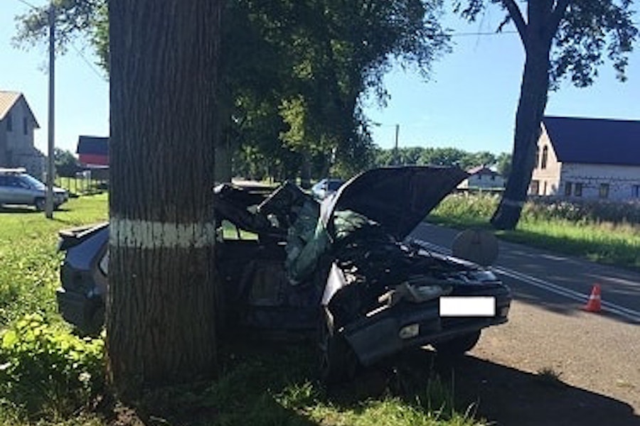 Под Гвардейском водитель без прав влетел в дерево на «Рено» (фото)