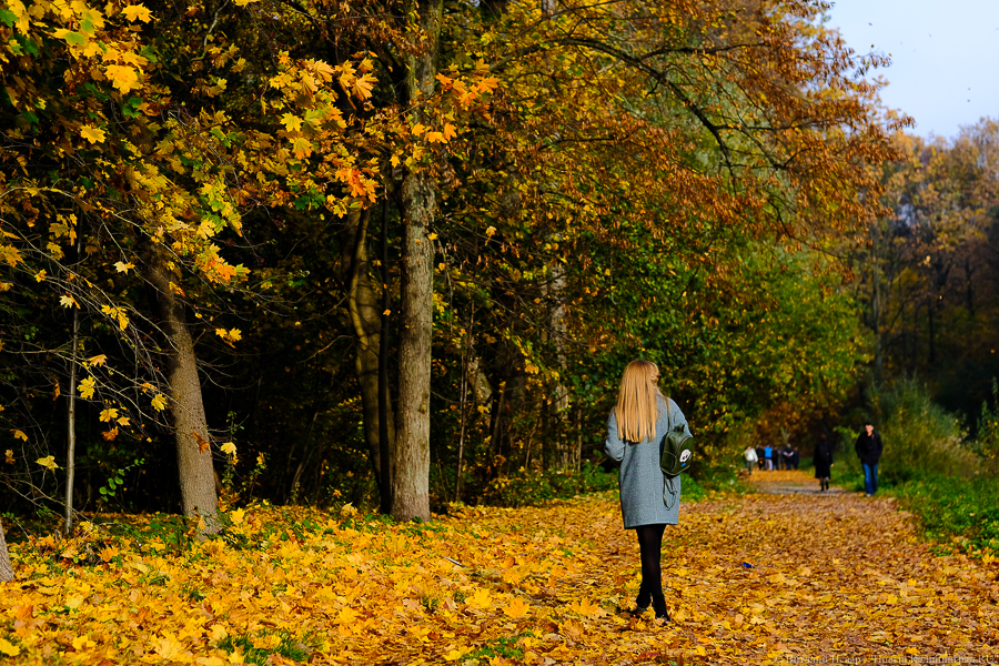 Калининградцам обещают рабочую неделю почти без осадков