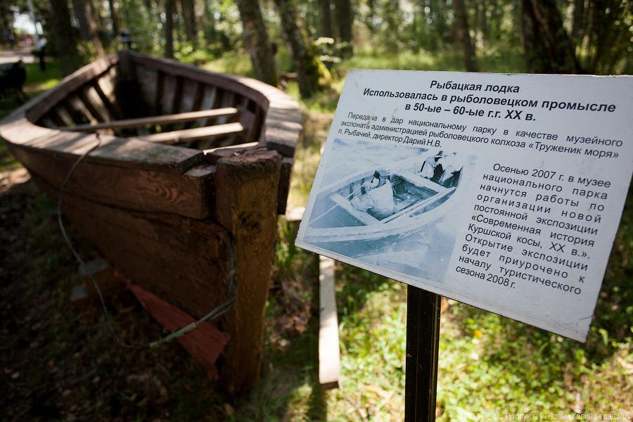 Вы ели жареных ворон?: кафе «Курена» на Куршской косе