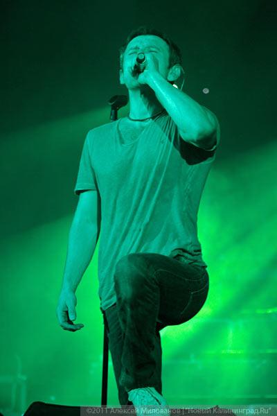 "Океан удовольствия": видео и репортаж "Афиши Нового Калининграда.Ru"