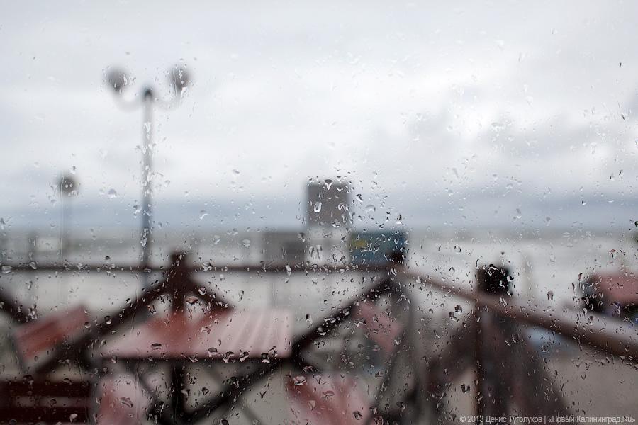 Резиденция без королей: где поесть в Пионерском