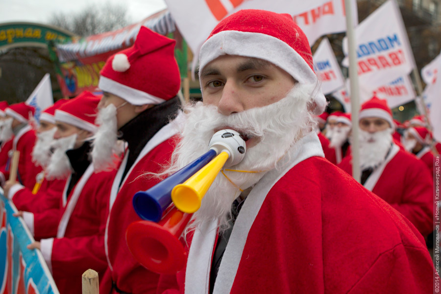 Фото: Алексей Милованов / Новый Калининград