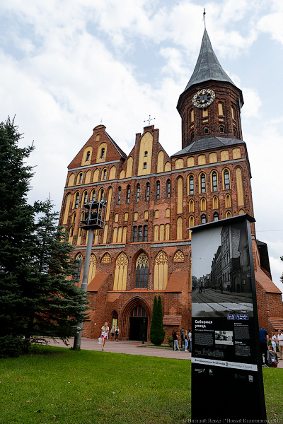 Прогулки по Кнайпхофу: о чём рассказывают новые стенды на острове Канта