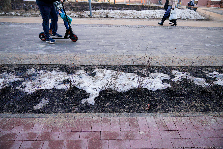 Как выглядит обновленная пешеходная зона на улице Рокоссовского без снега (фото)