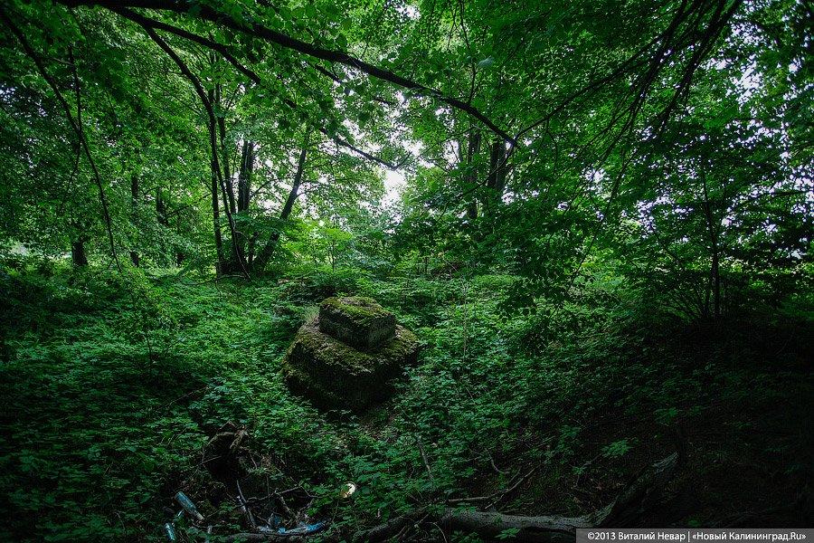 По следам Первой мировой: захоронение в пос. Совхозное Нестеровского района