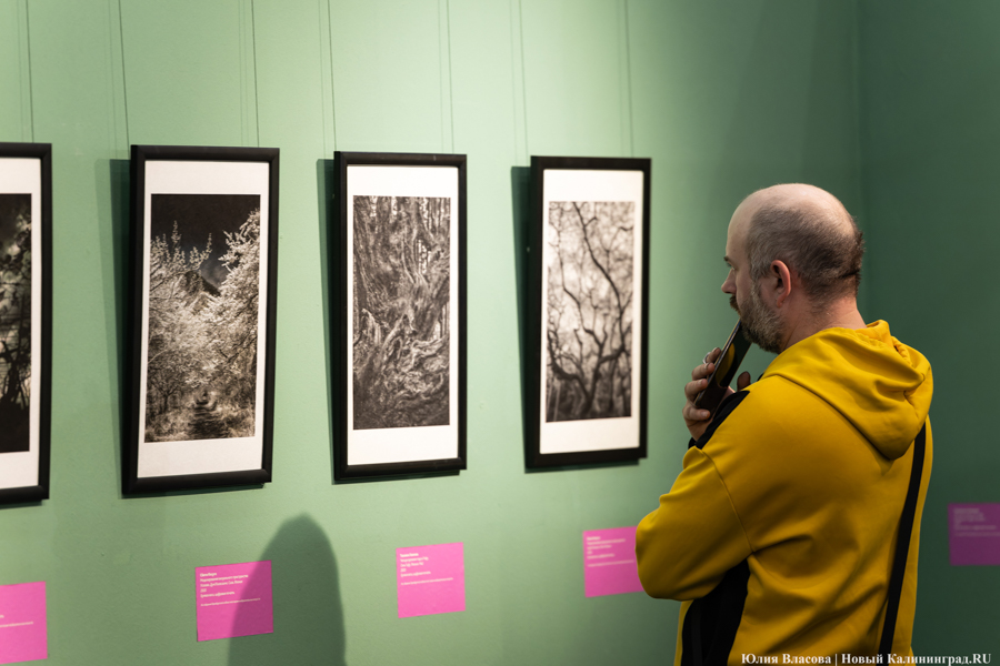 Япония рядом: в Музее изобразительных искусств открылись Дни Эрмитажа (фото)