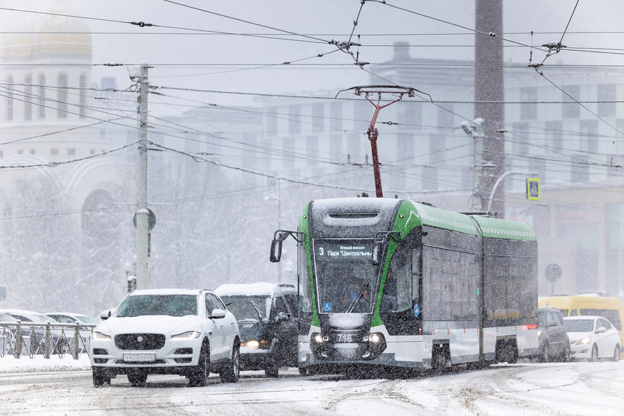 MAX планируют использовать для подтверждения права на льготный проезд 