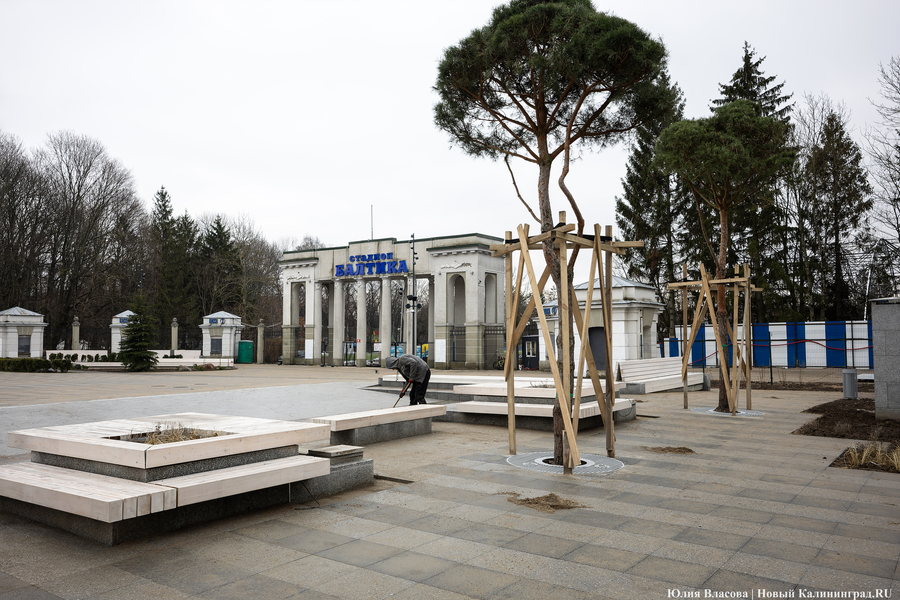 телефоны для экстренного реагирования при терроризме. дежурный мэрии калининград телефон. туристический информационный центр калининград. номера телефонов аварийных служб. аварийной службы электросети.