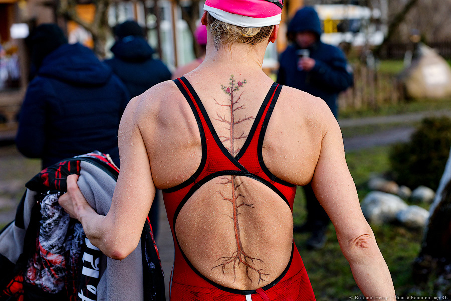 Время моржей: в  Калининграде прошли соревнования по зимнему плаванию (фото)