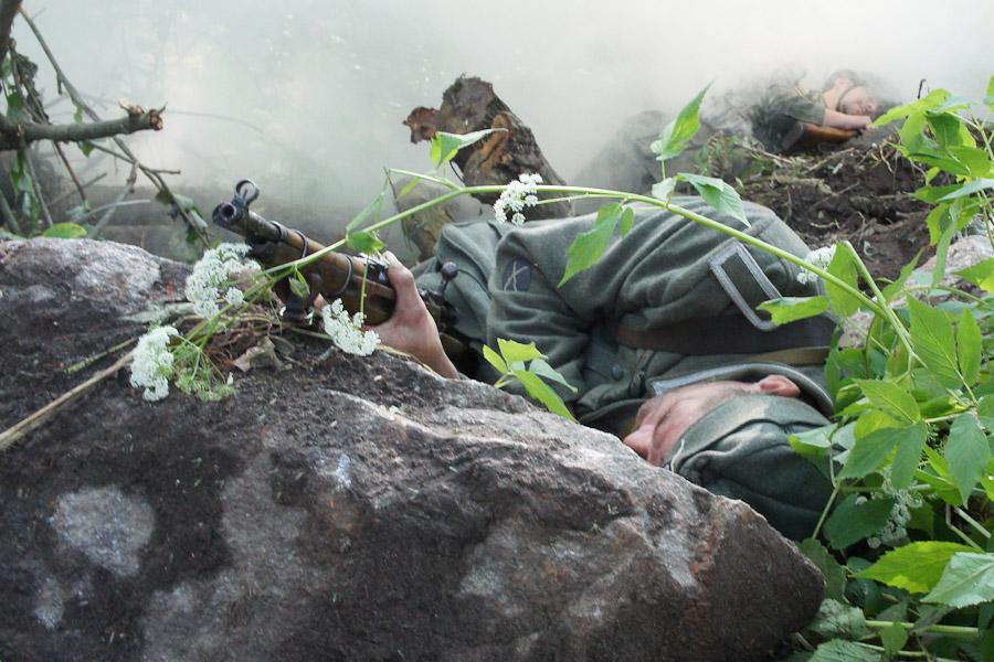 "Дерево войны и мира": фоторепортаж "Нового Калининграда.Ru"