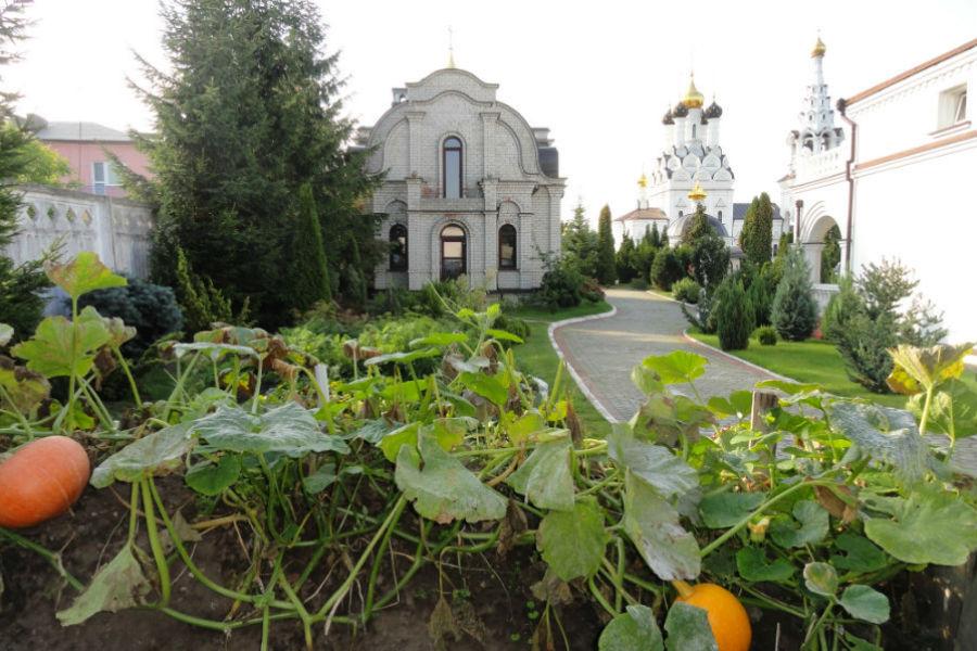 Из-за санкций на клумбах храма в Багратионовске вместо цветов посадили овощи
