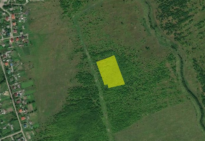 Участок под строительство предприятия. Изображение: roscadastr.com 