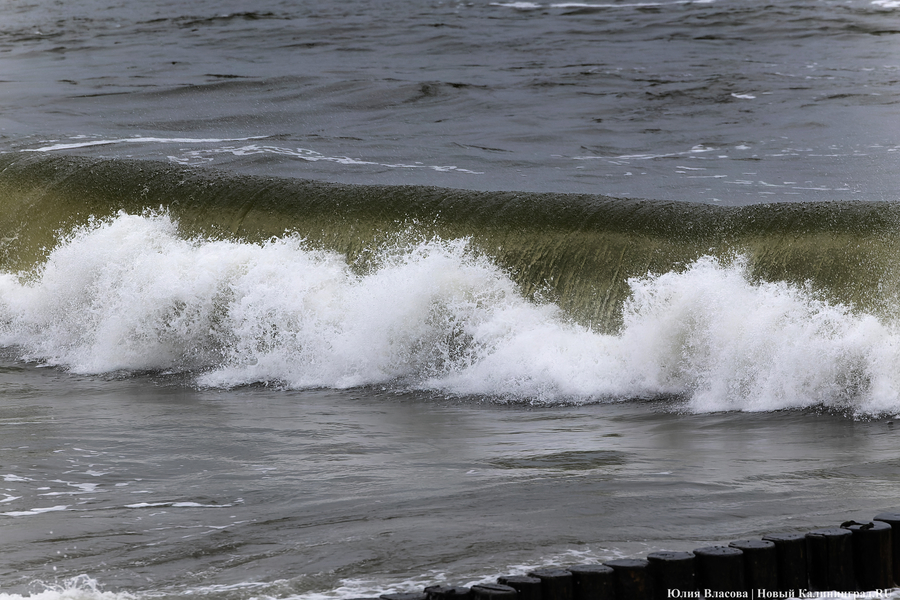 Штормовая вселенная: как циклон «Золтан» накрыл Зеленоградск (фото)
