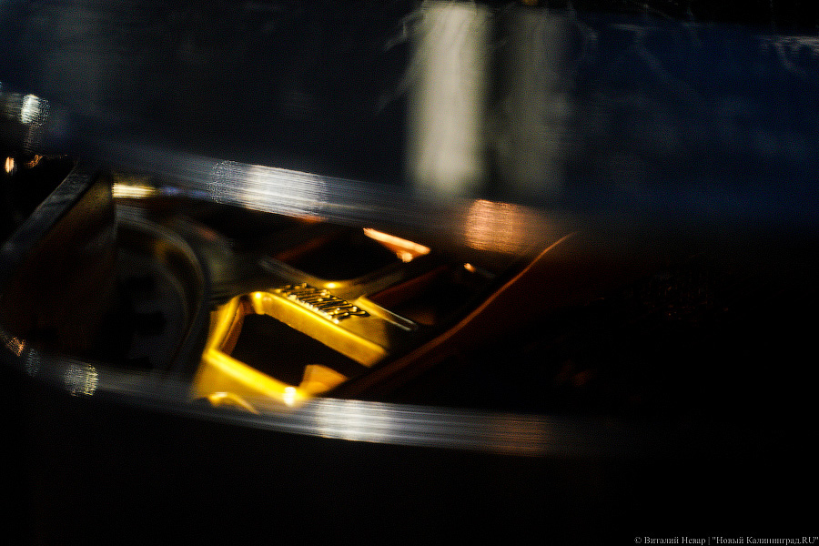 Любовь и жизнь: во Фридрихсбургских воротах выступила солистка Михайловского театра (фото)