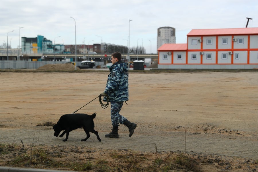 Первые камни: на Острове начали строить филиалы «Большого» и «Третьяковки» (фото)
