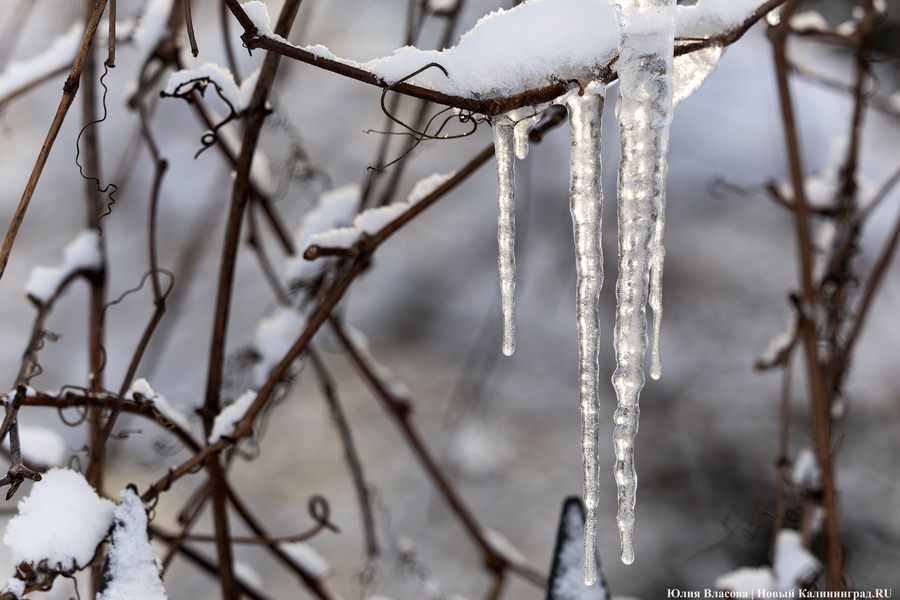 Зима не сдаётся: как выглядят улицы Калининграда после «снежного удара» (фото)