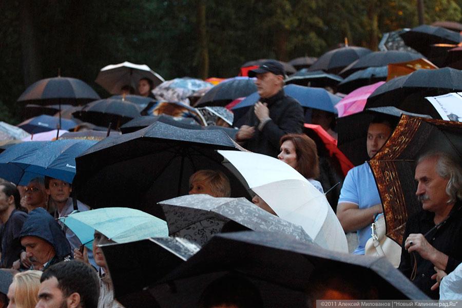 «Дон Ченто Джаз-2011», день третий: фоторепортаж «Нового Калининграда.Ru»