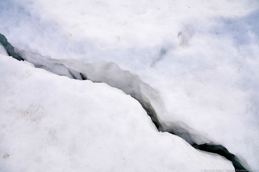 В Калининградской области массово гуляют по морскому льду, несмотря на запрет МЧС (фото)