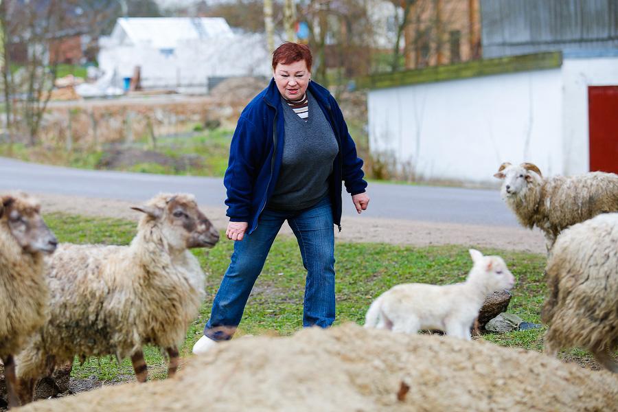 «Боосбан нас отрезал»: жизнь поселка Матросово рядом с Приморским кольцом