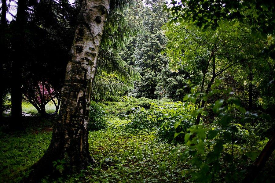 На неведомых дорожках: дендропарк калининградского Экоцентра