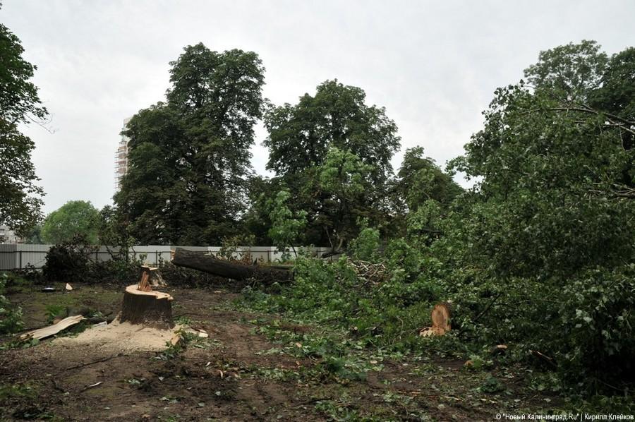 Последствия погрома на Ялтинской: фоторепортаж "Нового Калининграда.Ru"