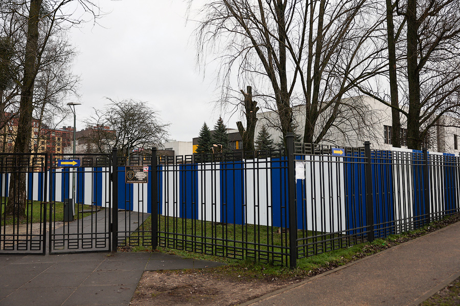 Минус 1,5 тыс. деревьев: на ул. Невского начались вырубки из-за строительства кампуса БФУ (фото)