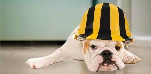 «Билайн»: «болезнь непонятных списаний» побеждена